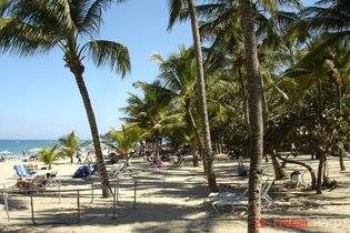 Hotel Casa Roma Cabarete Beach